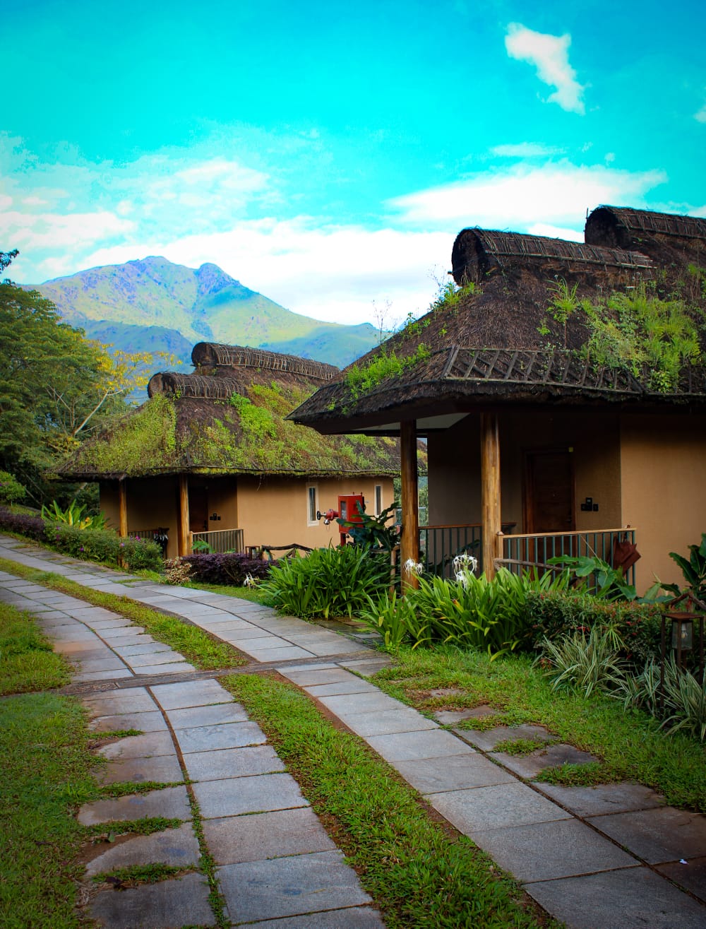 WhatsApp Image 2024-05-25 at 12.36.21_a82989bc